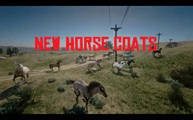 New Videos Tagged with horse (2,168)